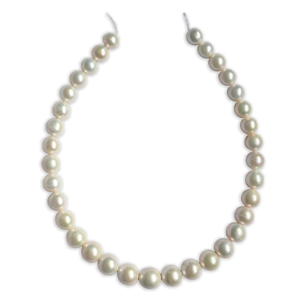Freshwater Pearl Necklace